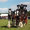 Northumberland County Show 2013
